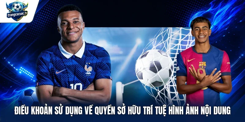 Điều khoản sử dụng về quyền sở hữu trí tuệ hình ảnh nội dung